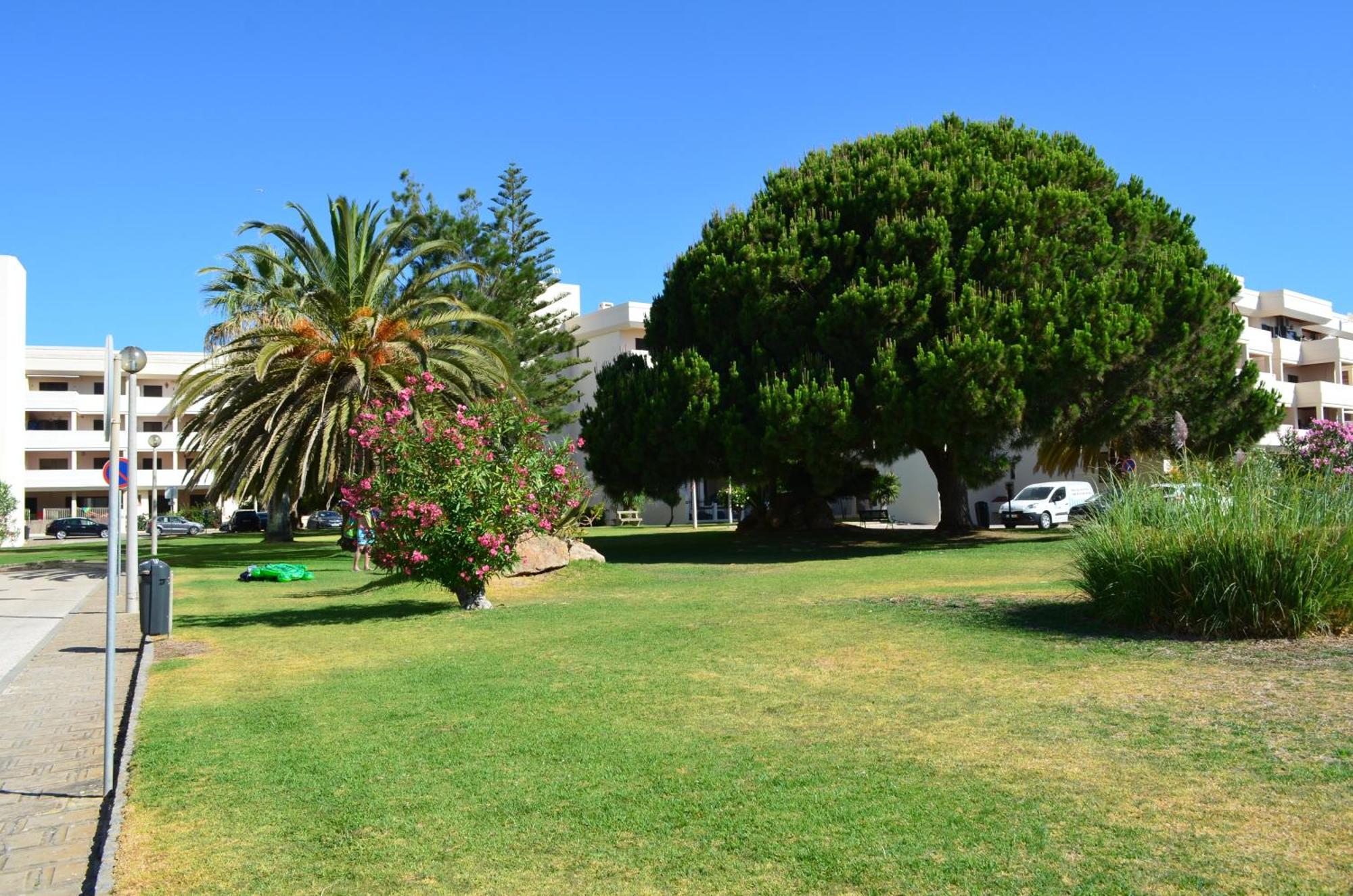 Above The Beach, 10 Min From The City Center - Casa Da Tartaruga Lagos Exterior photo
